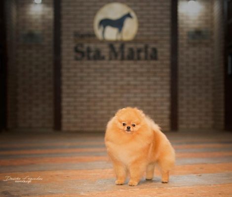 WhatsApp Image 2024-11-14 at 16.35.00_a9b58c26